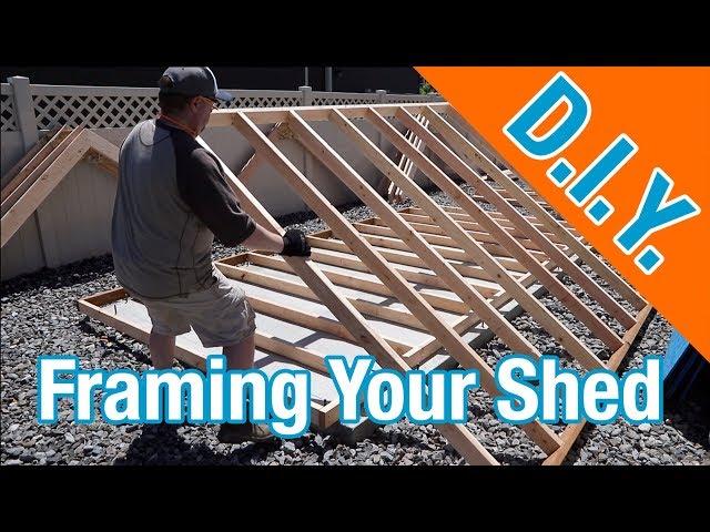 How to frame a shed: How To Build A Shed ep 9