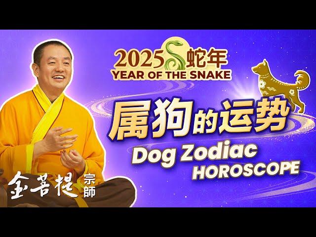 2025 Year of the Snake: Horoscope for the Dog Zodiac