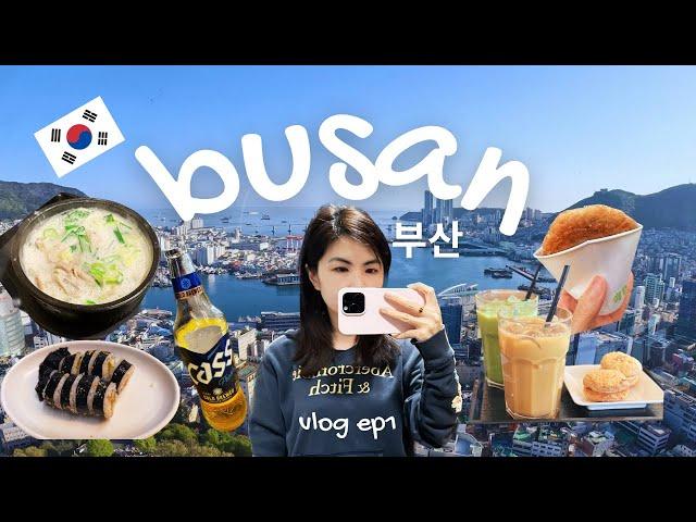 busan korea vlog | train to busan, gamcheon culture village, BIFF street food, michelin restaurant