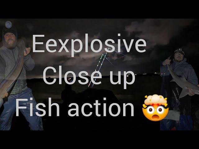  Exciting sea fishing in N Wales  | sea fishing UK | sea fishing Anglesey | fishing uk