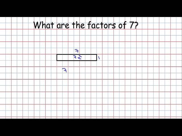 Factors