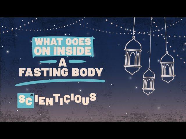The science behind fasting, explained | Scienticious