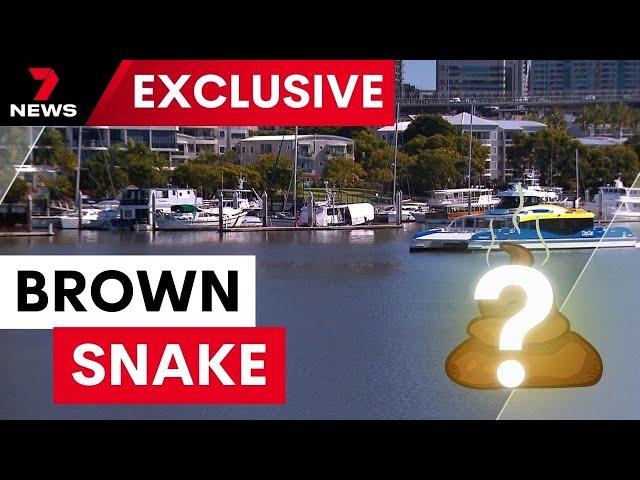 Fears human waste is being dumped in the Brisbane River | 7 News Australia