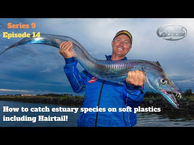 How to catch estuary species on soft plastics including Hairtail!