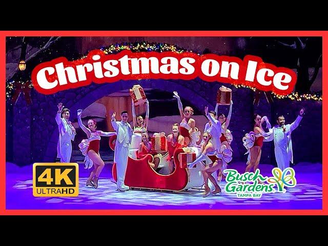 Christmas on Ice Busch Gardens Tampa Bay FL | Christmas Town | 4K