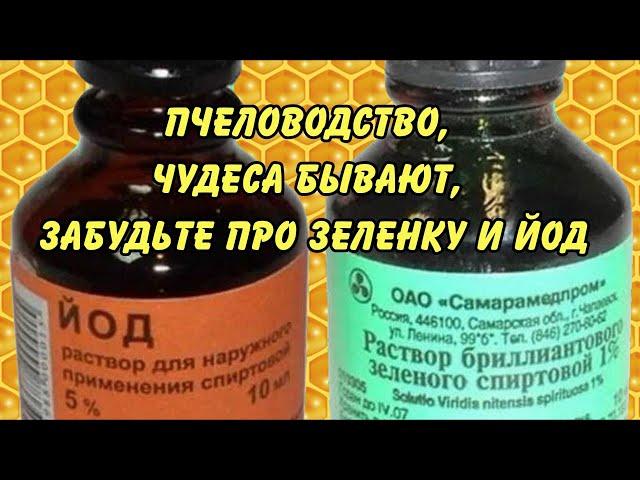 пчеловодство, чудеса бывают, забудьте про зеленку и йод, НАСТОЙКА ПРОПОЛИСА