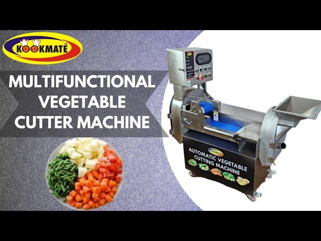 Multi Functional Automatic Vegetable Cutting Machine | All in one Commercial Vegetable Cutter