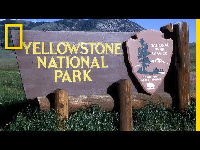 A Brief History of Yellowstone National Park | National Geographic