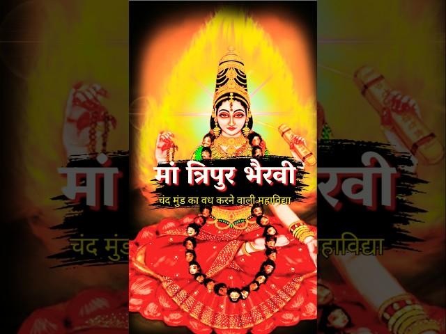 Tripura Bhairavi मां त्रिपुर भैरवी : The Fierce Goddess of Mahavidya #shorts #viralshort #trending