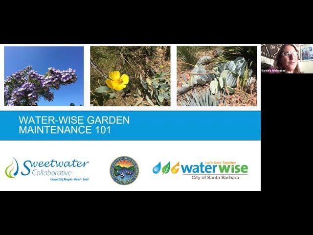 Water Wise Garden Maintenance 101