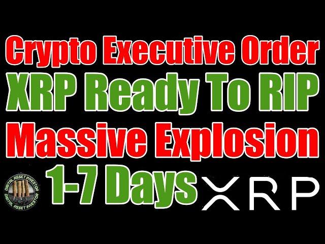 XRP Monster Moves & Saylor Talks Ripple But Satoshi Is Off Limits