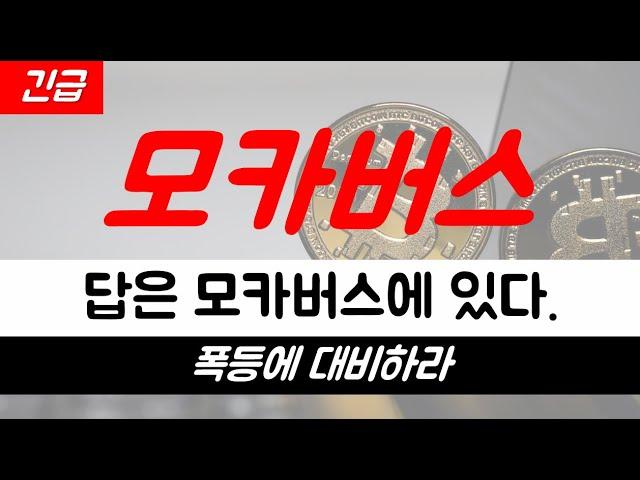 [모카버스]답은 모카버스에 있다!! 폭등에 대비하라