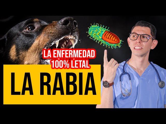 LA RABIA| Enfermedad 100% letal | DrPoloGuerrero