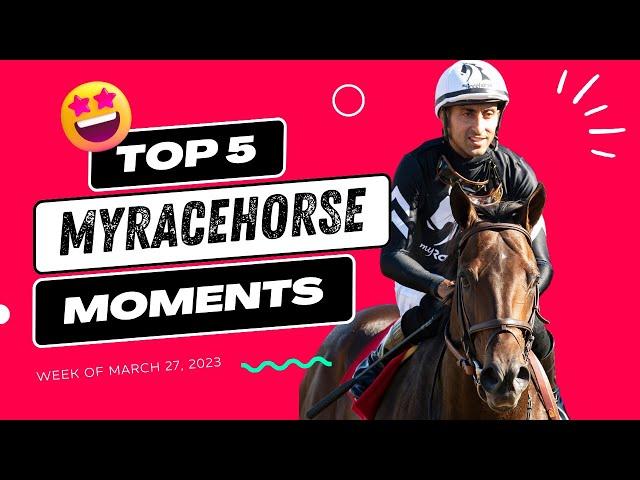 A Winning Week for MyRacehorse!