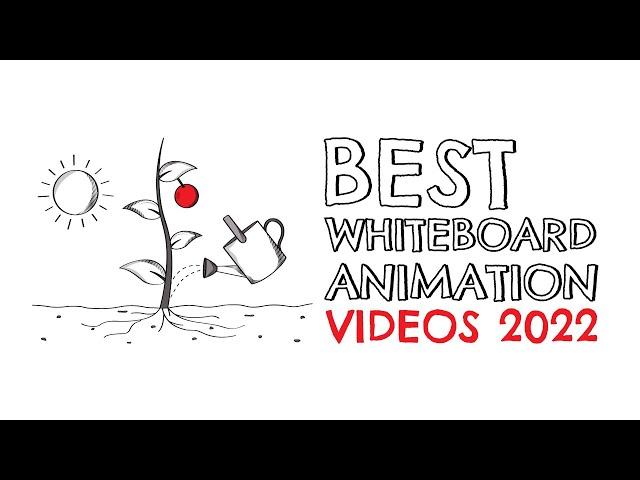 Best Whiteboard Animated Videos You Must Watch in 2024