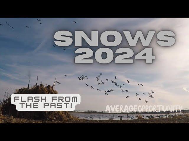 Shooting Snow Geese in Your Face! Quick Flash of Years Past!