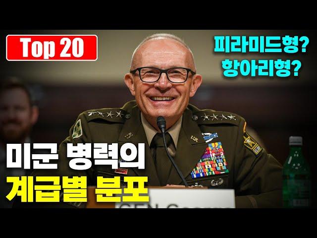 현역 미군의 계급별 인원 분포는 어떤 구조일까? Top 20