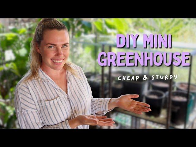 The DIY mini Greenhouse that changed how I grow Seeds! 