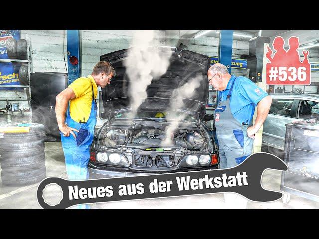 SCHON WIEDER Werkstatt-Pfusch?!  Golf III steht seit einem Jahr | Mit Nebel gegen BMW-Motorprobleme