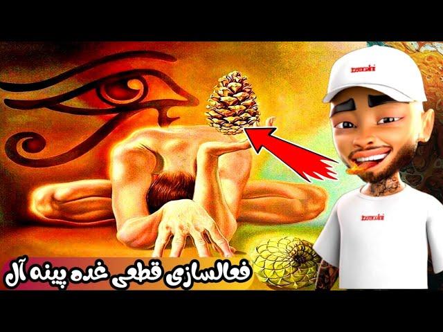 غده پینه آل یا صنوبری چیست؟ چگونه با پاکسازی این غده چشم‌سوم را باز کنیم!!!𓂀