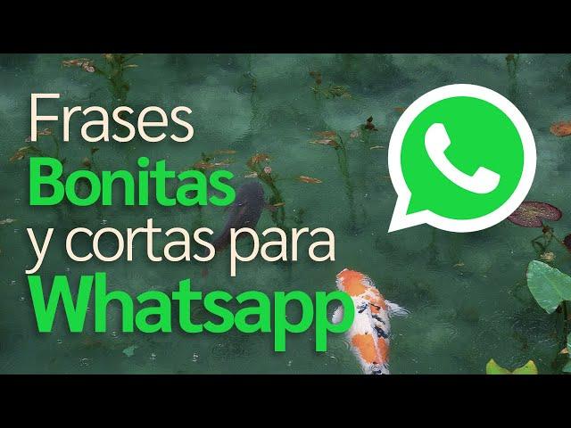 Beautiful and short quotes for WhatsApp in Spanish (2021) (4k)