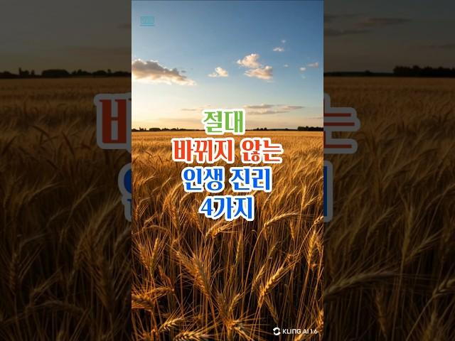 절대 바뀌지 않는 인생진리 4가지#명언#좋은글#삶의지혜#인생조언