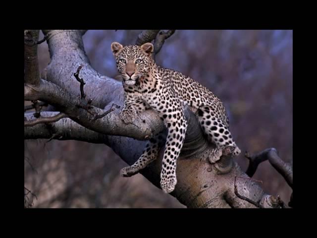 The making of my Namibia nature photography images