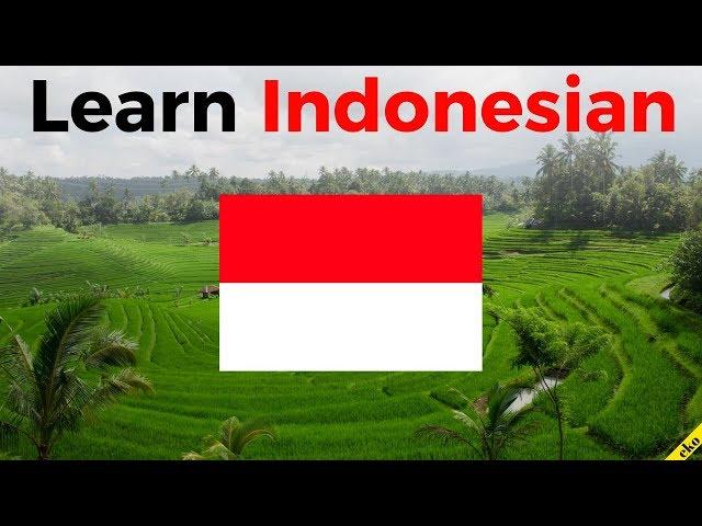 Learn Indonesian While You Sleep   Most Important Indonesian Phrases and Words  English/Indonesian