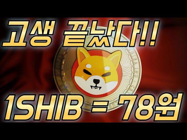 시바이누 [ 고생 끝났다!! ] 1SHIB = 78원, 진짜 이것만 보고 기다렸다!!!