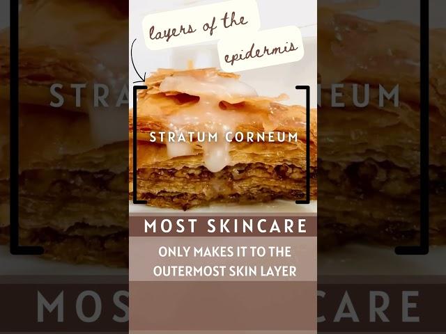 Most Skincare products only make it to the dead skin cells on the top layer of your skin… #skincare