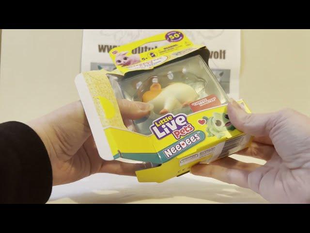 Unboxing and Review Little Live Pets NeeDees Hamster