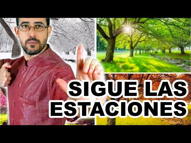  MEJORA el efecto de tu CHIKUNG Siguiendo las ESTACIONES. Charla con un té 17 