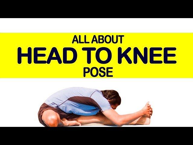 Head to Knee Pose (Janu Sirsasana): Yoga for Beginners | Triyogam Series