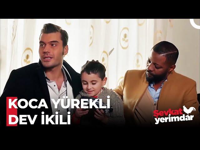 Adamsın Pascal, Adamsın Şevkat - Şevkat Yerimdar