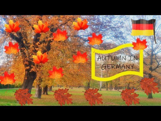 Autumn In Germany 2021 with Calm Endless Love Music