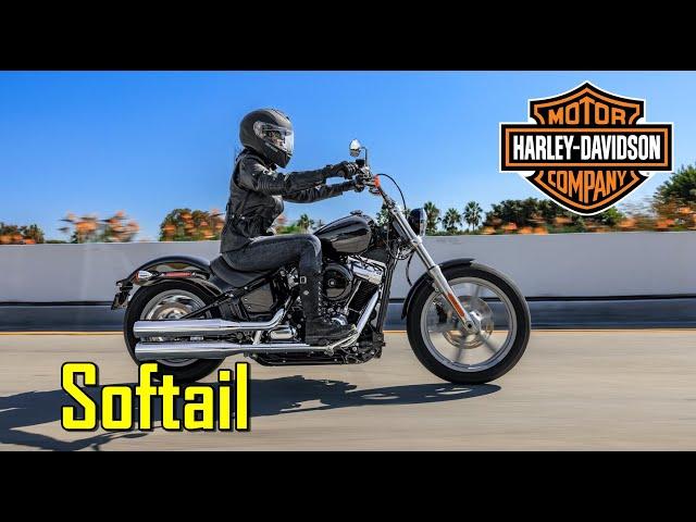 2022 Harley Davidson Softail Standard |TM