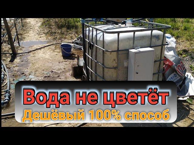 Вода после этого не цветёт. 100% дешёвый способ. Belklubnika.by