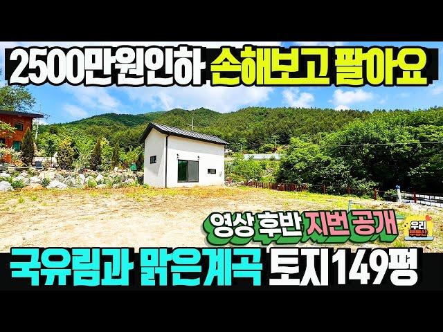 영상후반 지번공개! 국유림과 맑은계곡이 있는 청정 농막과 토지 급매가1억3천만원/ 지하수,정화조 내부마감 완료 토지149평 / 양평우리부동산 매물번호1472 [양평토지 농막 매매]