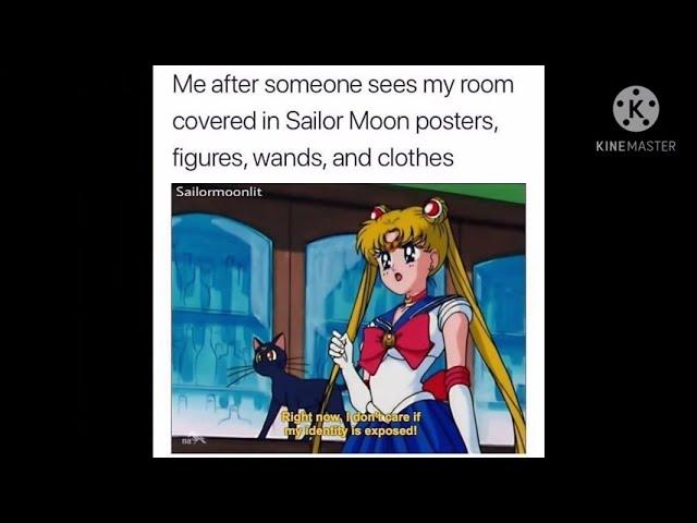 Sailor Moon Memes