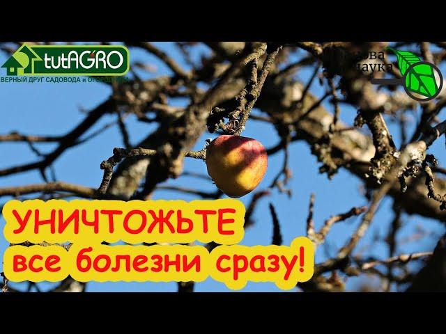 ПЕРВАЯ ОБРАБОТКА САДА ВЕСНОЙ: ОДНО СРЕДСТВО для ВСЕХ растений, без ожогов и химии. Мощное,безопасное