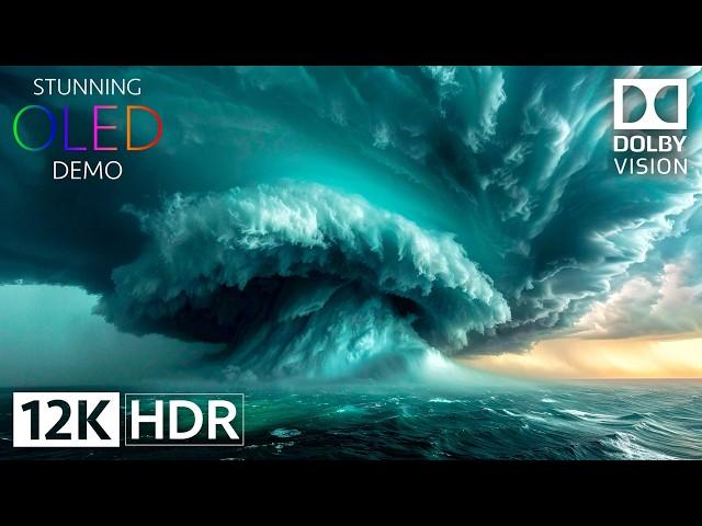 WOW! 12K HDR Video in STUNNING Dolby Vision on OLED!