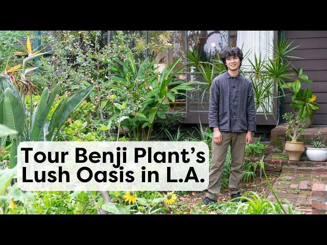 Tour Benji Plant’s Lush, Midcentury Oasis in Los Angeles | Handmade Home