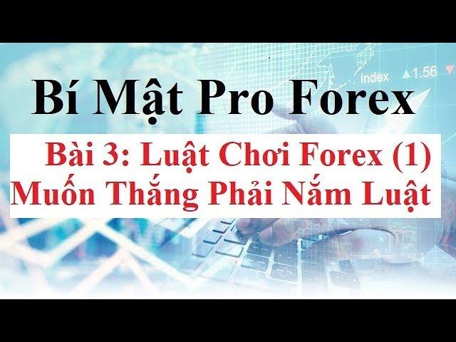 Bí mật Pro Forex  Bài 3 - Luật chơi Forex - Lot là gì? Đòn bẩy Forex là gì? Pip là gì? Point là gì?