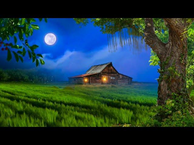 4K grass field and moonlight background | landscape nature background hd