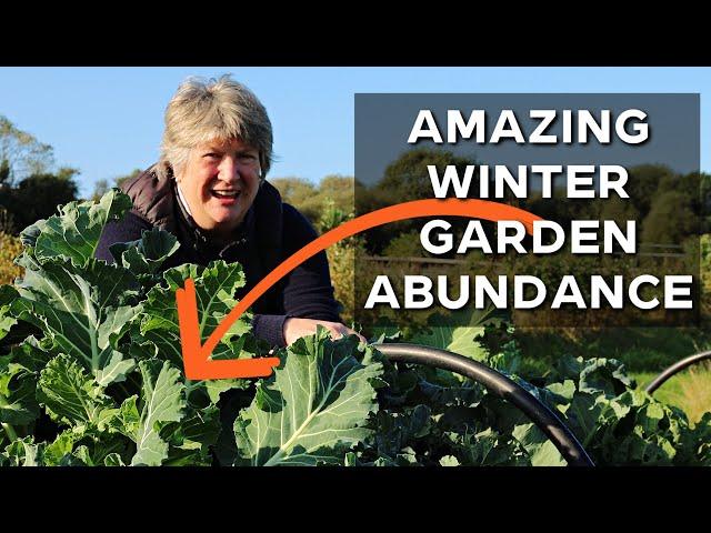 Fantastic Winter Vegetables for your Garden | Towards Self Sufficiency