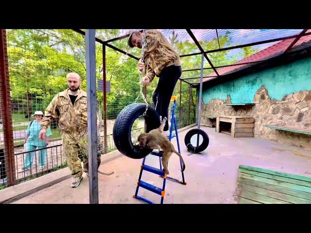 ДОЖДАЛИСЬ! Мы идем к Люсе и компании и делаем им тренажерный зал! Реакция гамадрилят СУПЕР!!!
