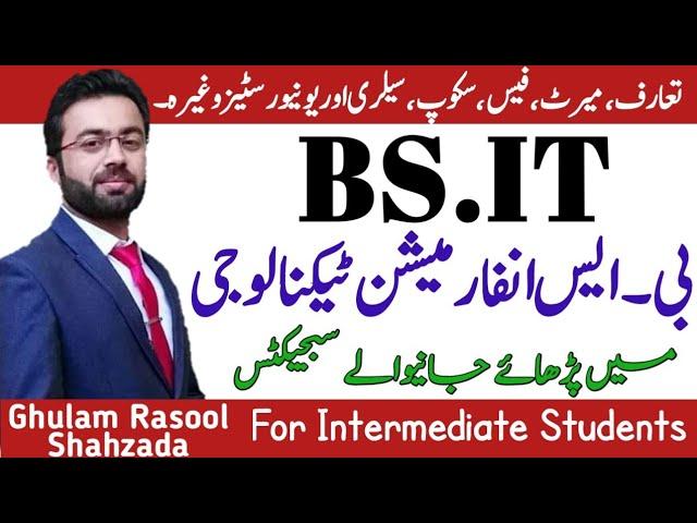 BSIT | Scope BS information technology | Subjects of bsit | how to become IT expert | BSIT Jobs