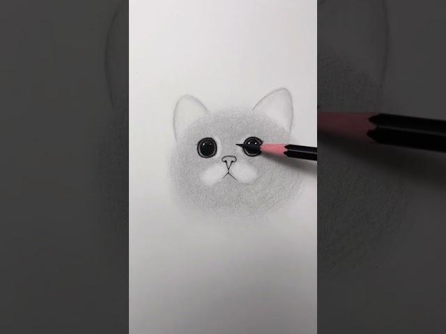 Cómo DIBUJAR un GATO realista PASO a PASO