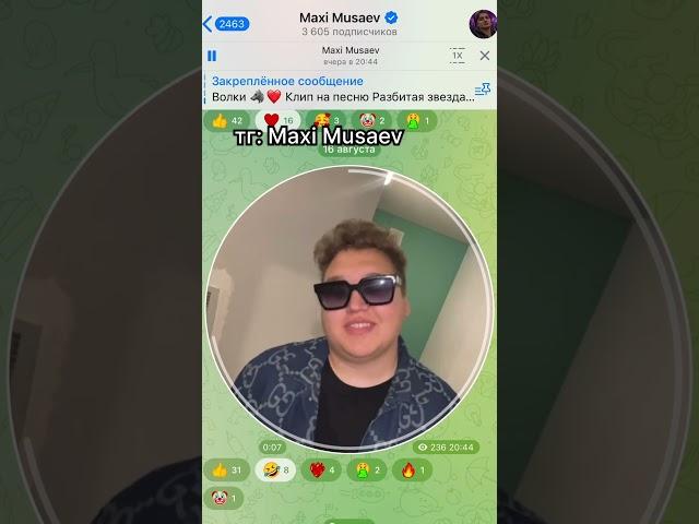 тг: «Maxi Musaev»