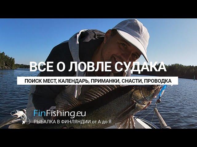 Как ловить судака - полный курс. Приманки, места, поиск, эхолот,  проводка, календарь, спиннинги